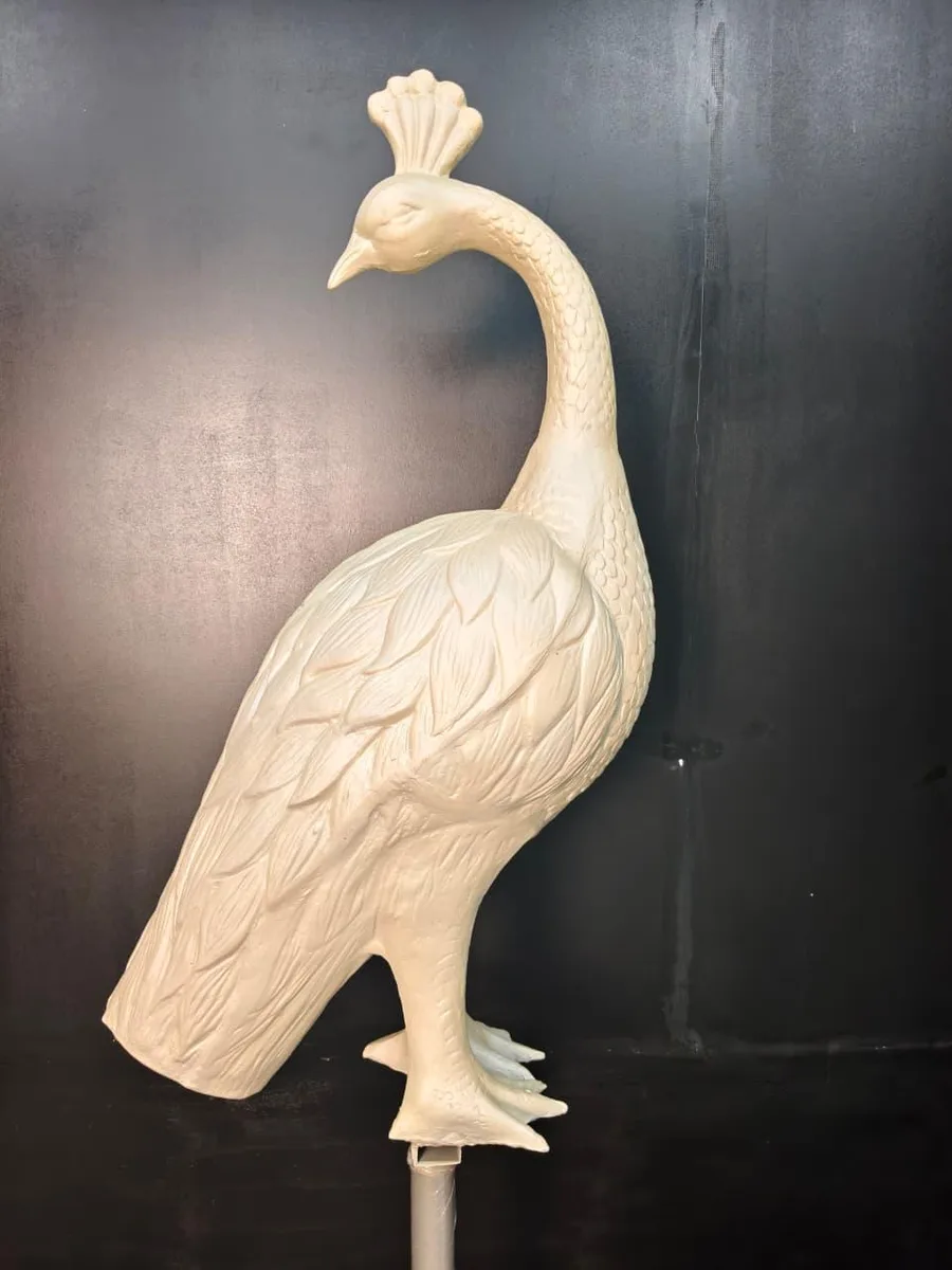 PEACOCK