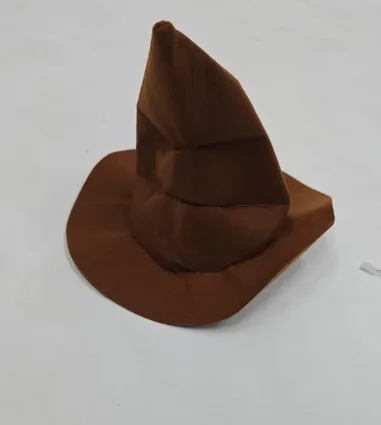 Harry potter hat