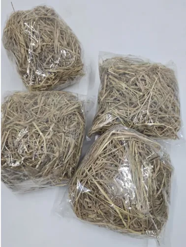 STRAW