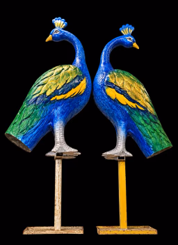 Fiber Peacock