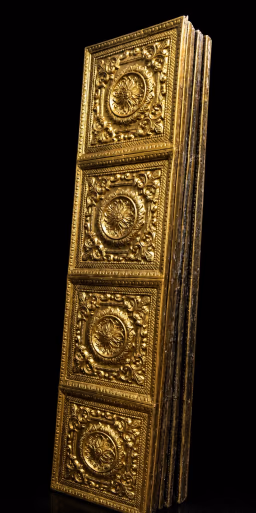 Chakram Panel 8*2 Ft