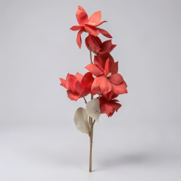 Big magnolia Dark red