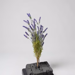 Bada Lavander bunch