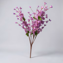 Blossom violet