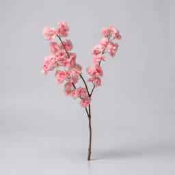 Blossom hangings flower