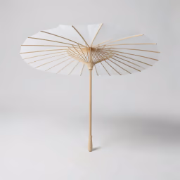 Paper japanese umprella