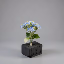 Beijing Hydra bush bunch blue