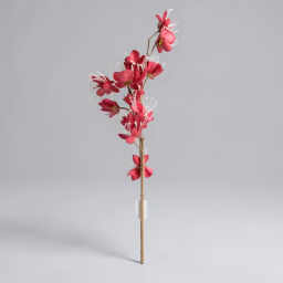 Aron bloom long bunch Red