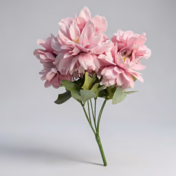 American Dahlia.Bunch
