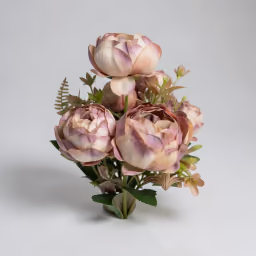 Victoria peony bunch