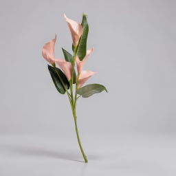Calathily stick onion pink