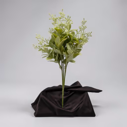 Bodo leaf bunch