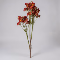 Butterfly long bunch Red