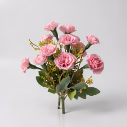 Bloom carnation bunch