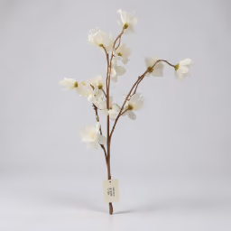 Aron bloom long bunch white