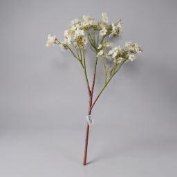 Butterfly long bunch white