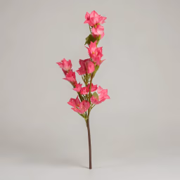 Bougainville stick magenta