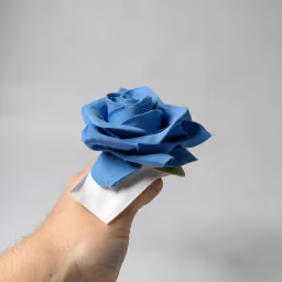 Blue rose