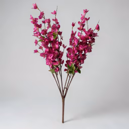 Blossom dark pink