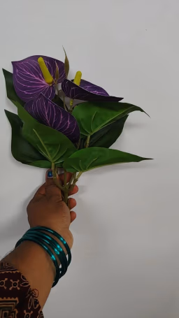 Anthurium blue bunch