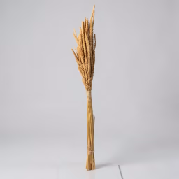 Boho item 6
