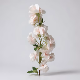 Blossom hangins peach lite