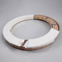 Ring light  10 ft