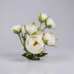 Baby peony bunch white