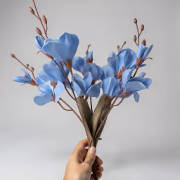 Blue orchid