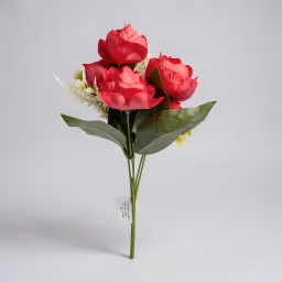 Bada peony bunch