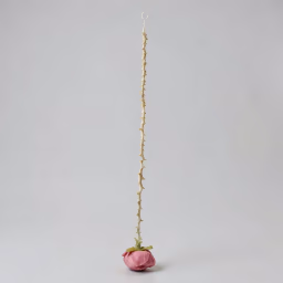 Hangings old white 2 ft