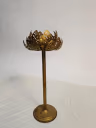 DESIGN LOTUS 04 3