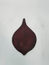 Avanipalaka 3