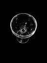 CHAMPAGNE GLASS 1