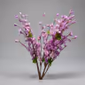 Blossom violet 2