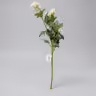 Button Daisy 3