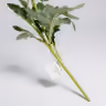 Button Daisy 1