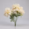 American Dahlia bunch white 2