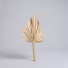 Boho parm leaf 1