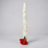 Hangings mala white&red 2ft 1