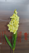 Botanical flower yellow stump 2