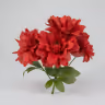American Dahlia bunch red 2