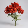 American Dahlia bunch red 3