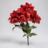 American Dahlia bunch red 1