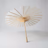 Paper japanese umprella 2