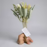 Butter cup bunch flower 3