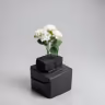 Beijing Hydra bush bunch white 1