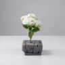 Beijing Hydra bush bunch white 3