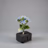 Beijing Hydra bush bunch blue 1
