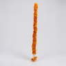 Mala orange 2 ft 1